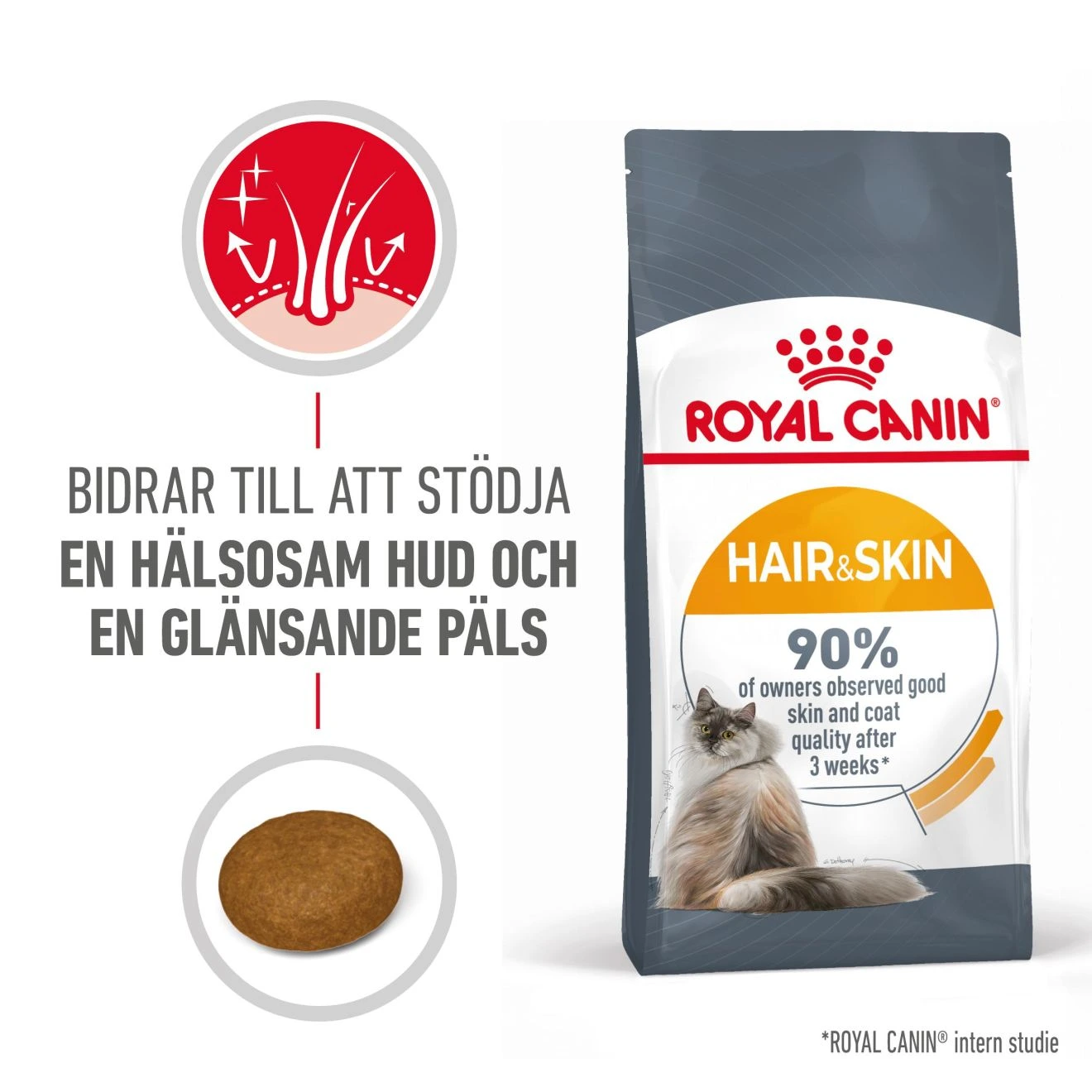 Royal Canin Hair & Skin Care tørrfôr til katt 10 kg