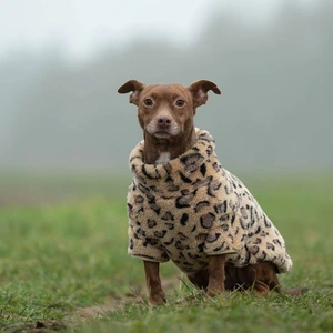 51 Degrees North Turtle Teddy hundegenser leopard 36 cm