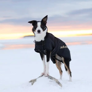 Back on Track Standard dekken til hund svart 59 cm