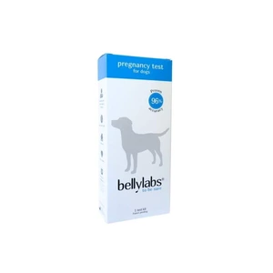 Bellylabs drektighetstest til hund