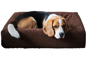 BiaBed Premium Bouclé overtrekk til hundeseng brun 60 x 70 x 15 cm