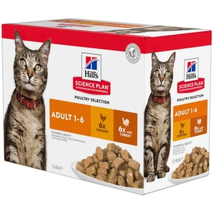 Hill's Science Plan våtfôr med kylling og kalkun til katt 12 x 85 g
