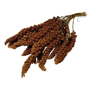 JR Farm rød hirsekolbe 250 g