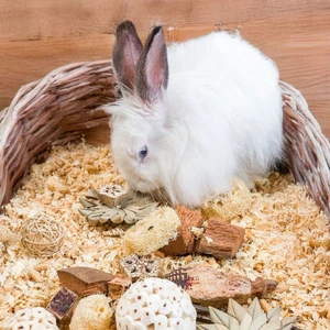 Quapas! Nibble eske med smådyrsleker stjerner