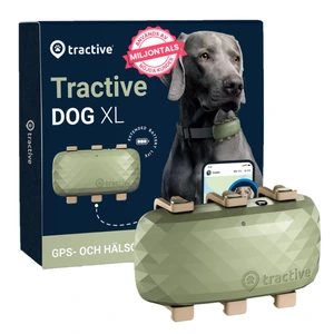 Tractive GPS Dog XL GPS-sporer til hund grønn
