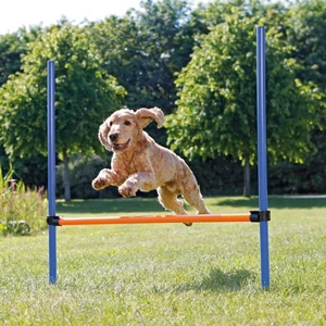 Trixie Agility Hopphinder 123x115cm