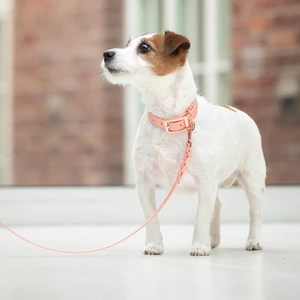 Tyylivoitto Braid hundekobbel fersken 9 mm x 200 cm