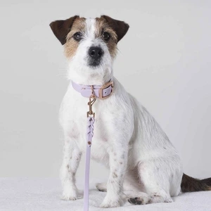 Tyylivoitto Braid hundekobbel lilla 9 mm x 200 cm