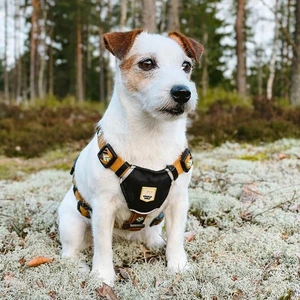 Woolly Wolf Sea to Summit hundesele lysebrun med mønster str XS